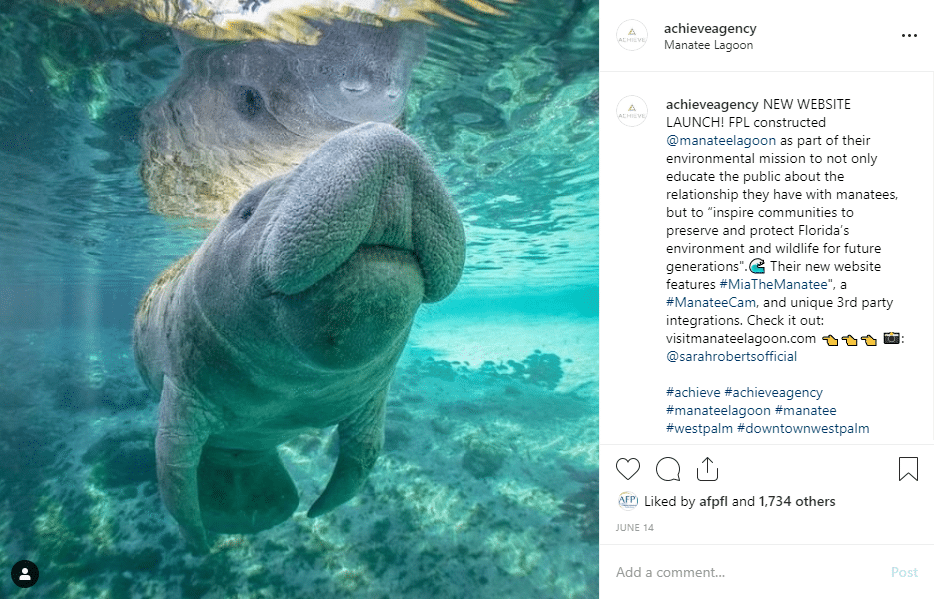 social media post of manatee