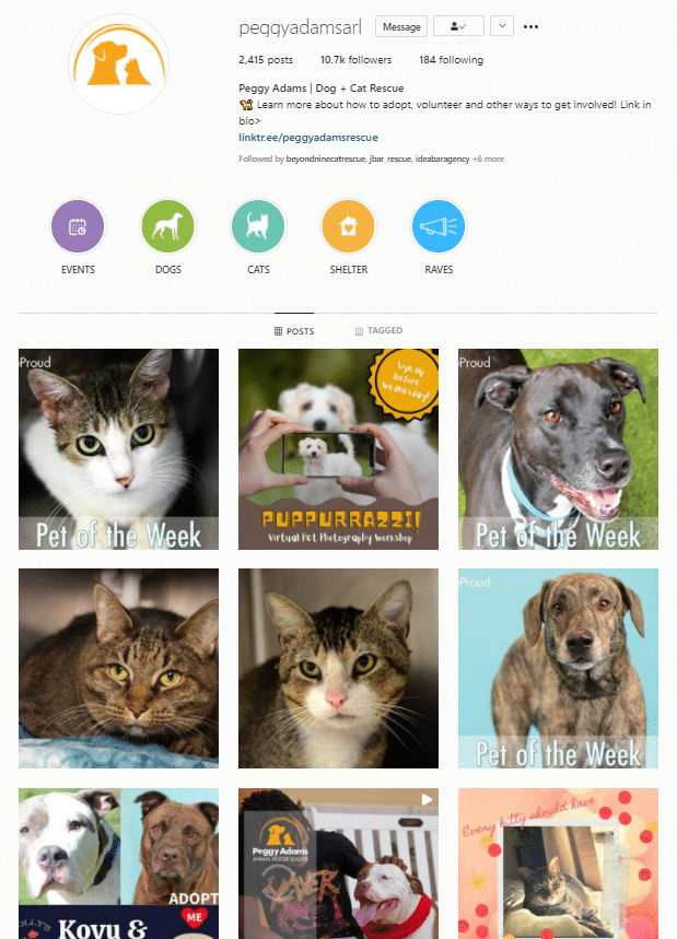 instagram gird of photos of animals
