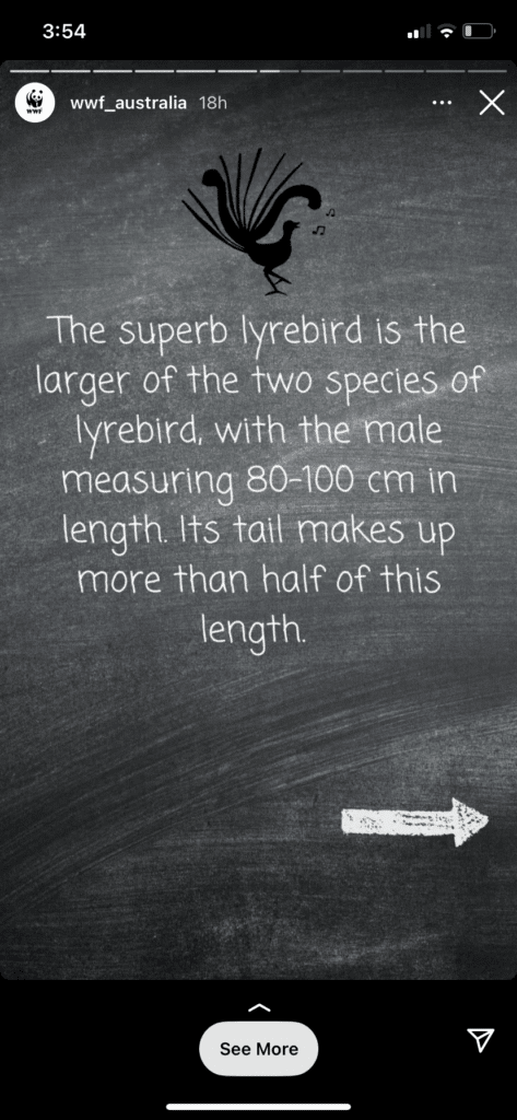 image of text on a gray background of cellphone